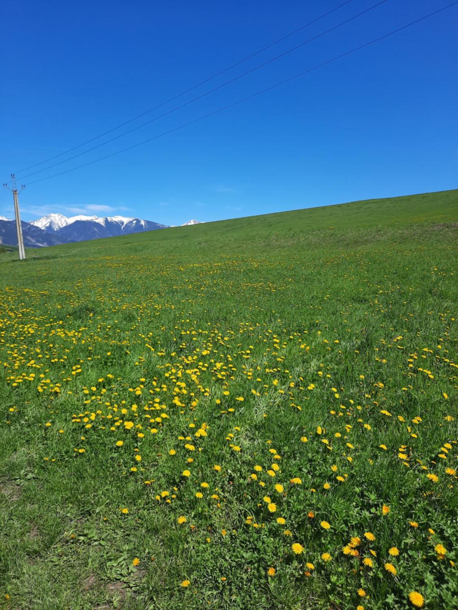 Domceky Holiday Liptovský Trnovec Exteriér fotografie